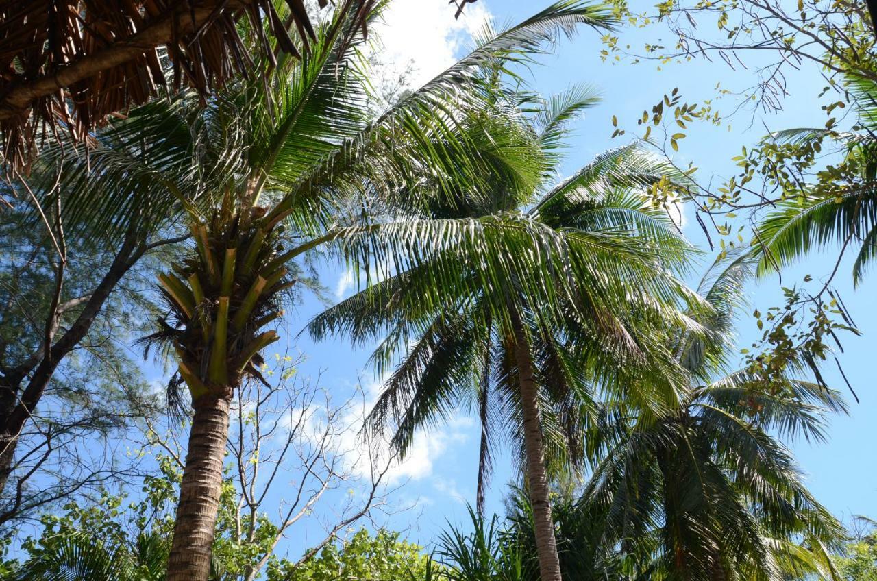 Reggae Island Private Island Hotell Koh Phayam Eksteriør bilde