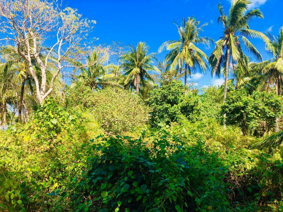 Reggae Island Private Island Hotell Koh Phayam Eksteriør bilde